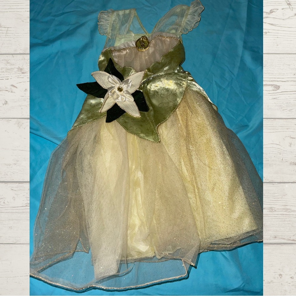Princess Tiana Costume